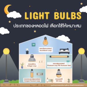 LIGHT BULBS ประเภทของหลอดไฟ เลือกใช้ให้เหมาะสม