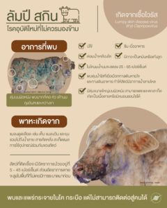 ลัมปี สกิน โรคอุบัติใหม่ที่ไม่ควรมองข้าม