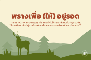 พรางเพื่อให้ (อยู่) รอด