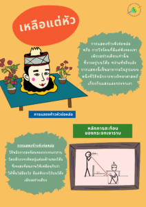 เหลือแต่หัว!!!