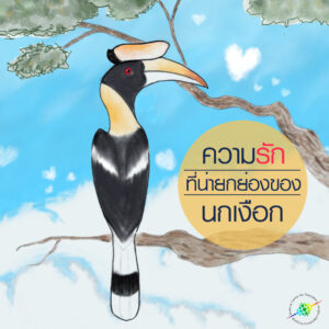 นกเงือก