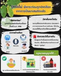 รู้หรือไม่ พืชกระท่อมถูกปลดล็อกจากการเป็นยาเสพติดแล้ว